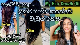 හැමෝම අහපු Hair Growth Oil එක👍  haircare growthoil vlogger sinhala new viralvideo [upl. by Mendelson]