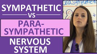 Sympathetic and Parasympathetic Nervous System Autonomic Anatomy Pharmacology Nursing [upl. by Anivla]