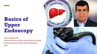 Basics Of Diagnostic Esophagogastroduodenoscopy EGD [upl. by Airb]