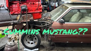 Cummins mustang A day in the life of a Florida bum [upl. by Wehttan643]