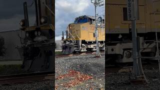 UP 7281 passing through Tangent Oregon unionpacificrailroad railfan unionpacificrailway [upl. by Yllier178]