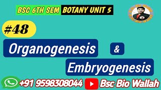 Organogenesis and Embryogenesis in Plant Tissue Culture [upl. by Noakes]