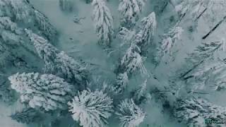 Winter Mountain Forest  Snowy Forest  Dji Mavic Air  4K drone footage [upl. by Goodden]