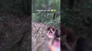 Heart stopping movement 😱☠️ furreal animals shortsviral shortsfeed [upl. by Biggs]