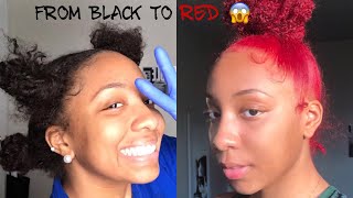 HOW TO DYE YOUR HAIR WITHOUT BLEACH VERY EASY [upl. by Aneret]