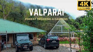 Best Forest Stay in Valparai  Ibex Stays amp Trails Mistly Valparai  4K UHD [upl. by Ahsinac487]