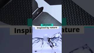 Flying RC ornithopter drones MetaFly and MetaBird © Bionic Bird  Discover the biomimetic flight [upl. by Max]