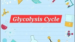 GLYCOLYSIS CYCLEEasy way to learn glycolysis [upl. by Ahseikan371]