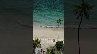 Thulusdhoo 2024 maldives travel tropicalisland beachvibes remoteisland [upl. by Kcirdla]