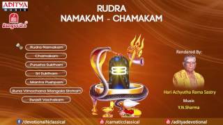 Rudra Namakam Chamakam by Y N Sharma YouTube [upl. by Aloek775]