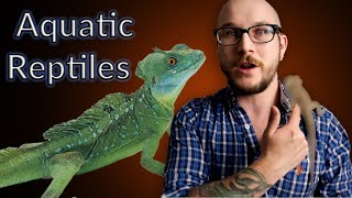 Top 5 Aquatic Reptiles That Make GREAT Pets [upl. by Teodora495]