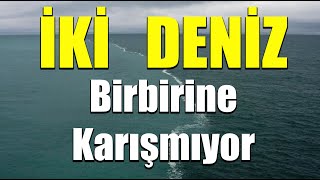 İKİ DENİZ BİRBİRİNE KARIŞMIYOR [upl. by Seigel]