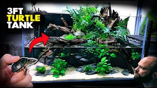 Aquascape Tutorial 💚 3ft TURTLE Aqua Terrarium  Paludarium  Aquarium How To Planted Tank Guide [upl. by Whang498]