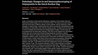 Pathologic Changes in and Immunophenotyping of Polymyositis in the Dutch Kooiker Dog [upl. by Ynobe]