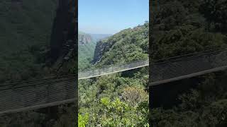 Suspension bridge Oribi gorge [upl. by Gnoc220]