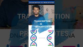 Transcriptionprokaryotestamilnotesrna synthesisprocessdiagramgene expressioncsir netDna [upl. by Caria]