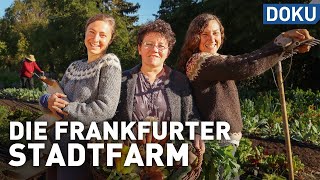 Erfolgreich mit Permakultur  Die Frankfurter Stadtfarm  doku  erlebnis hessen [upl. by Edwyna521]