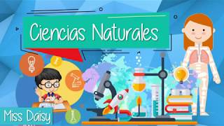 Clase Online Magnetismo  Ciencias Naturales Tercer año [upl. by Beeson]