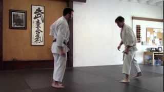 Karate Rotational Kick Rick Hotton [upl. by Eelyma215]