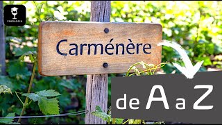 A Carménère de A a Z [upl. by Sefton]