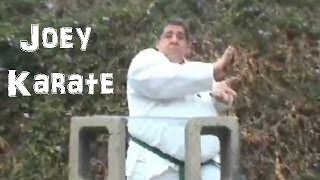 The Best of Joey Karate [upl. by Pooley473]