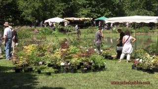 Ardèche  Grospierre plantes et fleurs en fête [upl. by Greenberg]