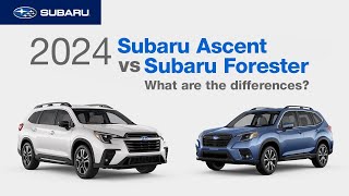 2024 Subaru Ascent vs 2024 Subaru Forester  What Are The Differences [upl. by Riffle74]