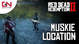 Red Dead Online  Muskie Location  1 Muskie Caught  Summer Romance Edition ♥ [upl. by Nodab]