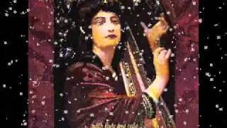 Celtic Harp for Christmas  Silent Night [upl. by Khalin]