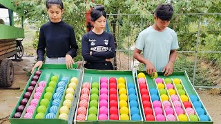 Family games enjoy watching having fun and rural games good looking shortvideo funny [upl. by Rico]