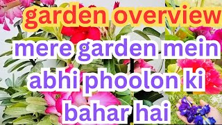 Garden overview  Garden update October mein mere garden mein kaise blooming ho rahi hai [upl. by Vladimar808]