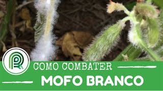 Saiba como combater o mofo branco [upl. by Fabrianne]