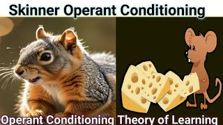 How to Train Your Brain Operant Conditioning Explained [upl. by Holladay]