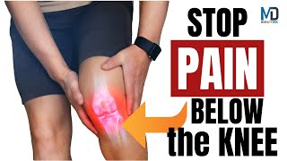 Heal Patellar Tendinitis Fast  Jumpers Knee Solution [upl. by Nileak]