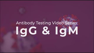 Antibody Testing IgG and IgM explained [upl. by Feigin]