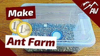 How to Build an Ant Farm  Budget Formicarium  Fast Cheap amp Easy [upl. by Anastos815]