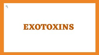 EXOTOXINS  TypeI TypeII and TypeIII Exotoxins  Mechanism of Exotoxins with Examples [upl. by Dougal]