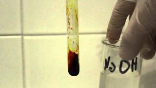 Fluorescein synthesis [upl. by Aidne]