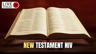 The Holy Bible  Complete NEW TESTAMENT Audio Bible NIV Dramatized [upl. by Saxena450]