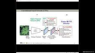 Leveraging deep learning and remote sensing to monitor single trees in temperate and tropical forest [upl. by Nonnad]