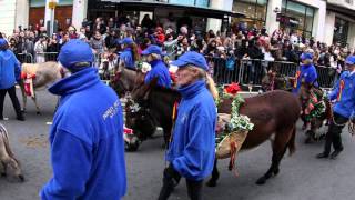 Londons New Year’s Day Parade in 2016 [upl. by Ettenhoj]