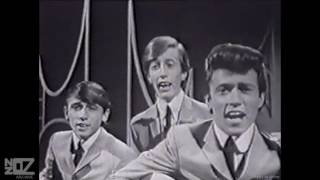 The Bee Gees  Wine amp Women 1965 [upl. by Llenil]