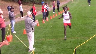 Brookline vs Milton vs Natick  Boys Varsity XC Race [upl. by Zuliram]