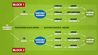 Types of Experimental Designs 33 [upl. by Aicram]