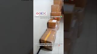 OCEX EXPRESS amp EXPRESS asiawholesaleexporter amazon business worldwideexporterssmallbusiness [upl. by Chute64]