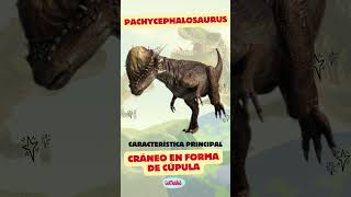 Dinosaurios y sus Características Especiales 🦕🦖 Parte 2 [upl. by Ariela259]