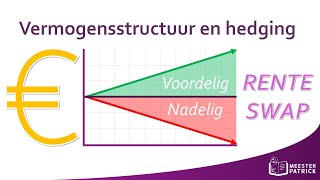 Vermogensstructuur en hedging  Bedrijfseconomie [upl. by Eerazed]