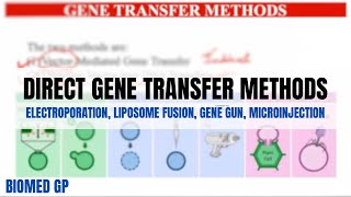 Direct Gene Transfer methods Electroporation Liposome fusion Gene Gun method Microinjection [upl. by Mercorr]