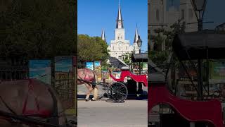 Carriages line up for riders in front of St Louis Cathedral in the French Quarter in New Orleans [upl. by Ttoille88]