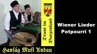 Wiener Lieder Potpourri 1 [upl. by Ixela507]